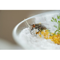 Руководство по применению и монтажу уничтожителей насекомых
