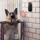 Відлякувач собак для велосипедистів Bark Stopper VG24245